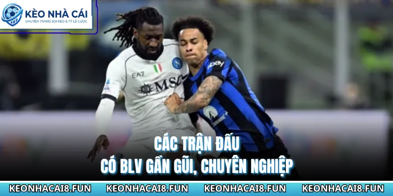 Các trận đấu có BLV gần gũi, chuyên nghiệp 