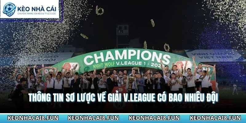 Thông tin sơ lược về giải V.league có bao nhiêu đội