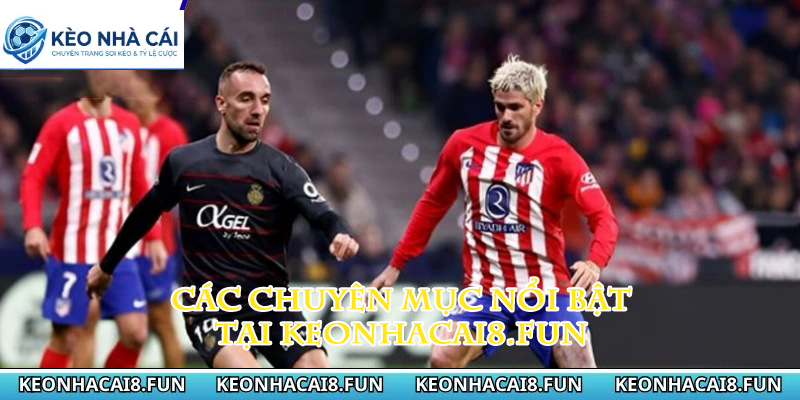 Các chuyên mục nổi bật tại keonhacai