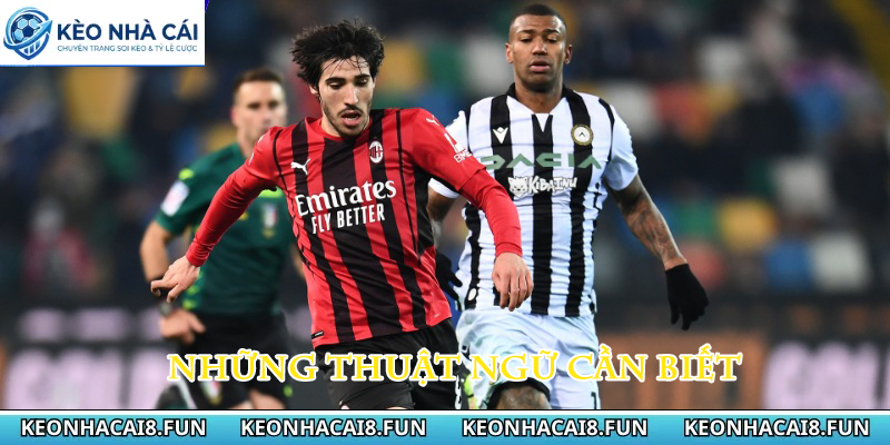 Những thuật ngữ cần biết