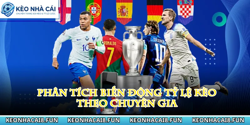 Phân tích biến động tỷ lệ kèo theo chuyên gia